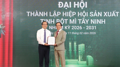Créer l'Association des producteurs d'amidon de blé de Tay Ninh