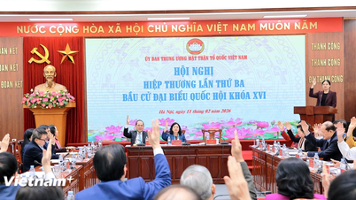 មនុស្សចំនួន ២១៧ នាក់មកពីស្ថាប័នកណ្តាលត្រូវបានតែងតាំងជាឯកច្ឆ័ន្ទដើម្បីឈរឈ្មោះសម្រាប់រដ្ឋសភានីតិកាលទី ១៦។