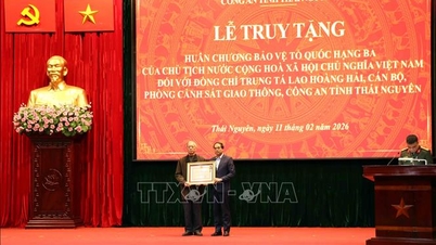Thai Nguyen: Se le concedió póstumamente la 'Orden de Defensa Nacional' al teniente coronel Lao Hoang Hai.