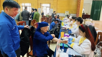 יישום איסוף דגימות DNA מקרובי משפחה של קדושים מעונים בקומונות פוק הואה ובה ואן דאן - עיתון מקוון קאו באנג