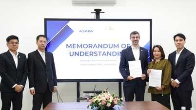 Promoting cooperation in the development of sustainable aviation fuels in Vietnam and Da Nang.
