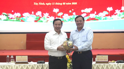 Tay Ninh en Dong Nai delen hun ervaringen met compensatie en landontginning.