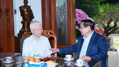 প্রধানমন্ত্রী ফাম মিন চিন দল ও রাজ্যের প্রাক্তন নেতাদের সাথে দেখা করেন এবং নববর্ষের শুভেচ্ছা জানান।