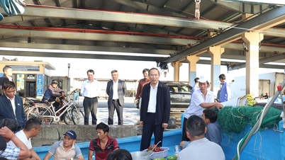 Biträdande jordbruks- och miljöministern inspekterar arbetet med att bekämpa IUU-fiske i Da Nang.