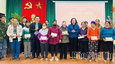 La vice-présidente du Conseil populaire provincial, Nguyen Thi Cam Phuong, a offert 300 cadeaux du Têt à des ménages en difficulté.