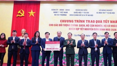 Tay Phuong membagikan 240 paket hadiah Tet (Tahun Baru Imlek) kepada keluarga kurang mampu.