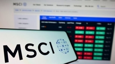 Chứng khoán Việt Nam có khả năng vào Watchlist nâng hạng của MSCI từ tháng 6/2026