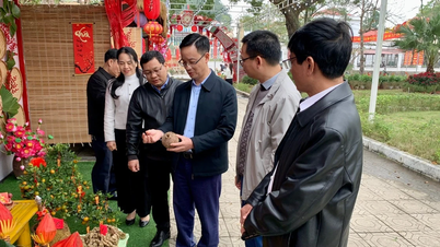 Lao Cai 2026 میں تہواروں کے انتظام اور تنظیم کا معائنہ کر رہا ہے۔
