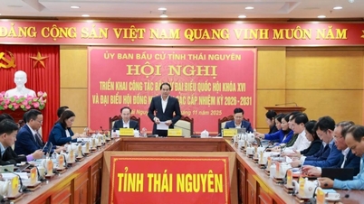 Thai Nguyen mempunyai 5 kawasan pilihan raya untuk memilih wakil Dewan Undangan Negeri dan 29 kawasan pilihan raya untuk memilih wakil Majlis Rakyat wilayah.
