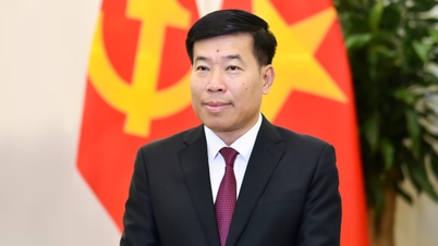 Implementar de manera proactiva y activa la Resolución del 14º Congreso Nacional del Partido Comunista de Vietnam en materia de asuntos exteriores.