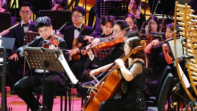 La construcción de una Ciudad de la Música contribuye al desarrollo de la gente y la cultura en Hai Phong.
