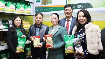 Komune Quoc Oai: Pembukaan Pusat Reka Bentuk Kreatif OCOP