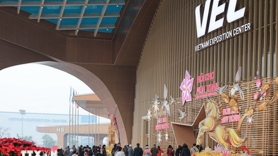 Foire de printemps : Récits du point de vue de la technologie
