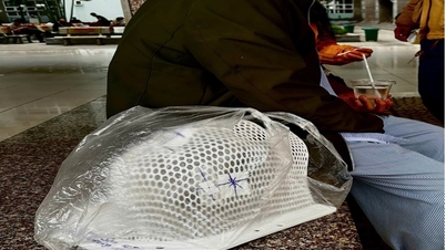 K Tan Trieu Hastanesi'nde Tet (Ay Yeni Yılı) öncesindeki günler