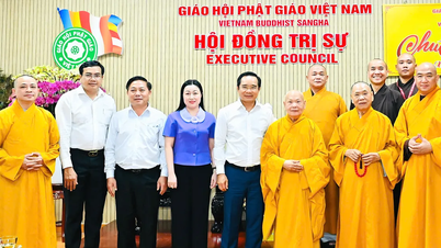 និទាឃរដូវនៃសេចក្តីស្រឡាញ់ដ៏ស្មោះស្ម័គ្ររាលដាលពាសពេញគ្រប់ទីកន្លែង។
