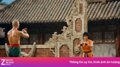ភាពពេញនិយមនៃហ្គេម Seedance 2.0