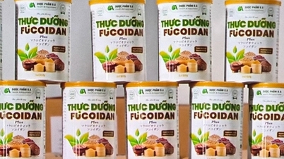 偽造がん予防食品を製造したとして9人が起訴された。