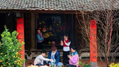 Der Foto- und Videowettbewerb „Happy Tet“ zeigt ein friedliches, herzliches und humanes Vietnam.
