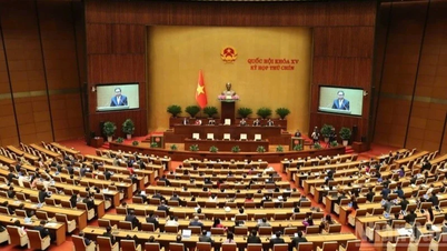 [Spørsmål og svar] Hva er prinsippene for og effektiviteten til den vietnamesiske nasjonalforsamlingens drift?