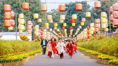 Thang Long İmparatorluk Kalesi tarihi alanında göz kamaştırıcı bir Tet çiçeği sokağı.