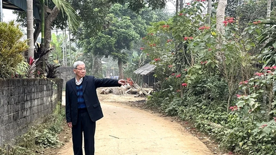 Tokoh-tokoh teladan yang berwibawa di wilayah Von Mỏ.