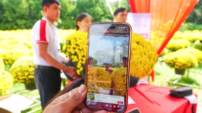 Bagian terakhir: E-commerce meningkatkan konsumsi produk pertanian.