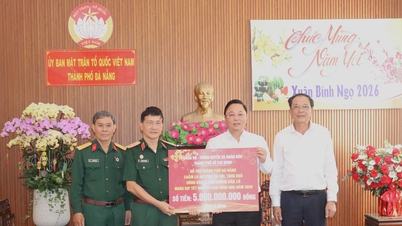 Ho Chi Minh-staden förser Da Nang med 5 miljarder VND för att stödja social välfärd under Tet.