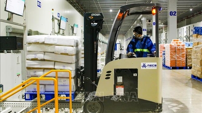 Chladírenské sklady pro vývoz zemědělských a akvakulturních produktů jsou v některých oblastech stále přebytečné a v jiných nedostatek.