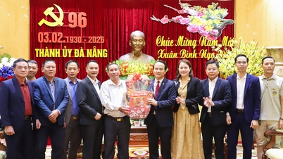 Le Comité permanent du Comité du Parti de la ville a reçu l'Association provinciale de Thanh Hoa à Da Nang, venue présenter ses vœux de Nouvel An.