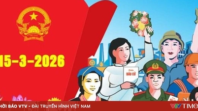Bầu cử đại biểu Quốc hội, HĐND các cấp: Việc kiểm phiếu được tiến hành như thế nào?