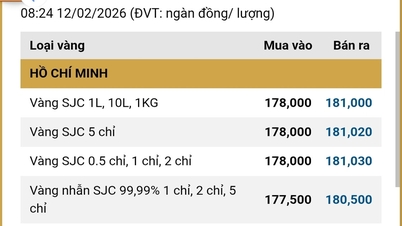 ราคาทองคำอัปเดตเมื่อเวลา 12.00 น. ของวันที่ 12 กุมภาพันธ์ 2569: แท่งทองคำ SJC แหวนทองคำ 9999 และราคาทองคำโลกยังคงทรงตัว