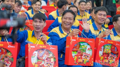 'Construyendo para el Tet 2026': un homenaje a los trabajadores urbanos de Da Nang.