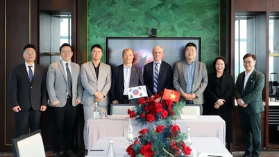 Het bevorderen van de inzet van op batterijen gebaseerde energieopslagoplossingen in Vietnam.
