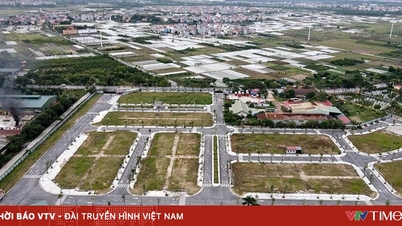 Téměř 1 milion hektarů nevyužité přírodní půdy.