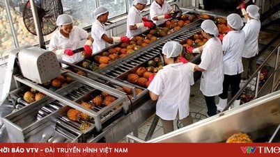 中国は多くの農産物に対する追跡可能性要件を強化している。