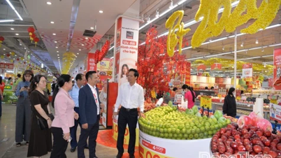 Dong Thap: Der stellvertretende Vorsitzende des Provinzvolkskomitees, Nguyen Thanh Dieu, inspiziert die Warenlieferungen für das Tet-Fest.