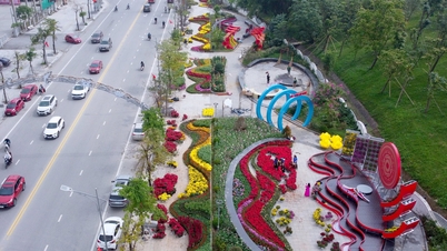 Les rues fleuries au printemps accueillent le Têt à Nghe An.