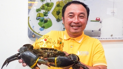«Krabbekongen» tildelt sertifikat for å ha satt rekord for den største krabben i Vietnam.