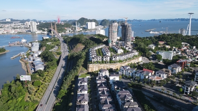 Quang Ninh اپنی پوزیشن کی تصدیق کرتا ہے اور 2026 کے آغاز سے ہی کامیابیوں کو تیز کرتا ہے۔