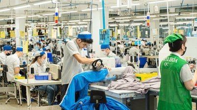 Para 2026, la industria textil y de la confección aspira a exportar 50 mil millones de dólares.