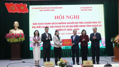 Bac Ninh heeft de derde consultatieronde gehouden en de lijst met kandidaten voor de Nationale Assemblee en de Volksraad overhandigd.