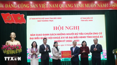 Trzecia runda konsultacji przed wyborami do Zgromadzenia Narodowego i Rady Ludowej: Bac Ninh i Gia Lai finalizują listy kandydatów.
