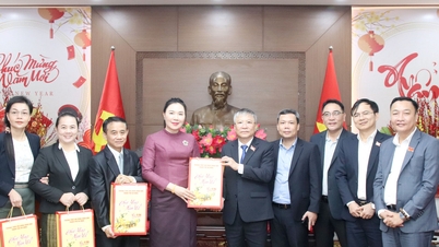 Die Stadtoberen empfingen Delegationen und statteten Neujahrsbesuchen ab, um das chinesische Neujahrsfest des Pferdes 2026 zu feiern.