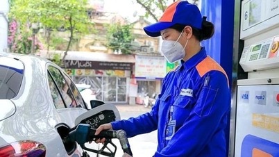 RON 95 पेट्रोल की खुदरा कीमत 19,000 VND/लीटर से अधिक है।