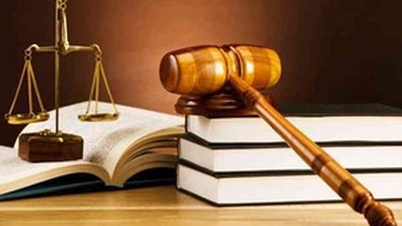 सुरक्षा एवं व्यवस्था से संबंधित 10 कानूनों में संशोधन एवं पूरक करने वाले कानून के नए बिंदु।