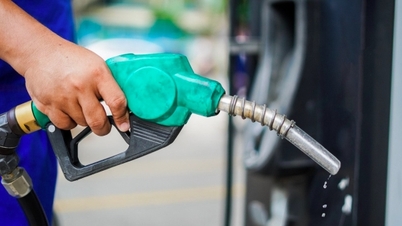 Revogação do certificado de distribuidor de combustível da KK Petro.