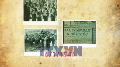 Voter card collectors preserve historical memories.