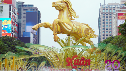 ماہرین نے Nguyen Hue Flower Street کے ڈیزائن کا انکشاف کیا۔