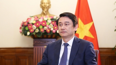 디지털 전환 - 외교적 성과의 특징.