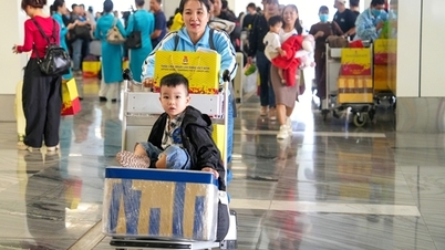 550 workers were assisted in returning home for Tet (Lunar New Year) by plane.